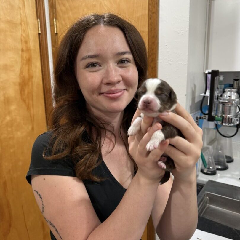Denali with puppy Denali with puppy